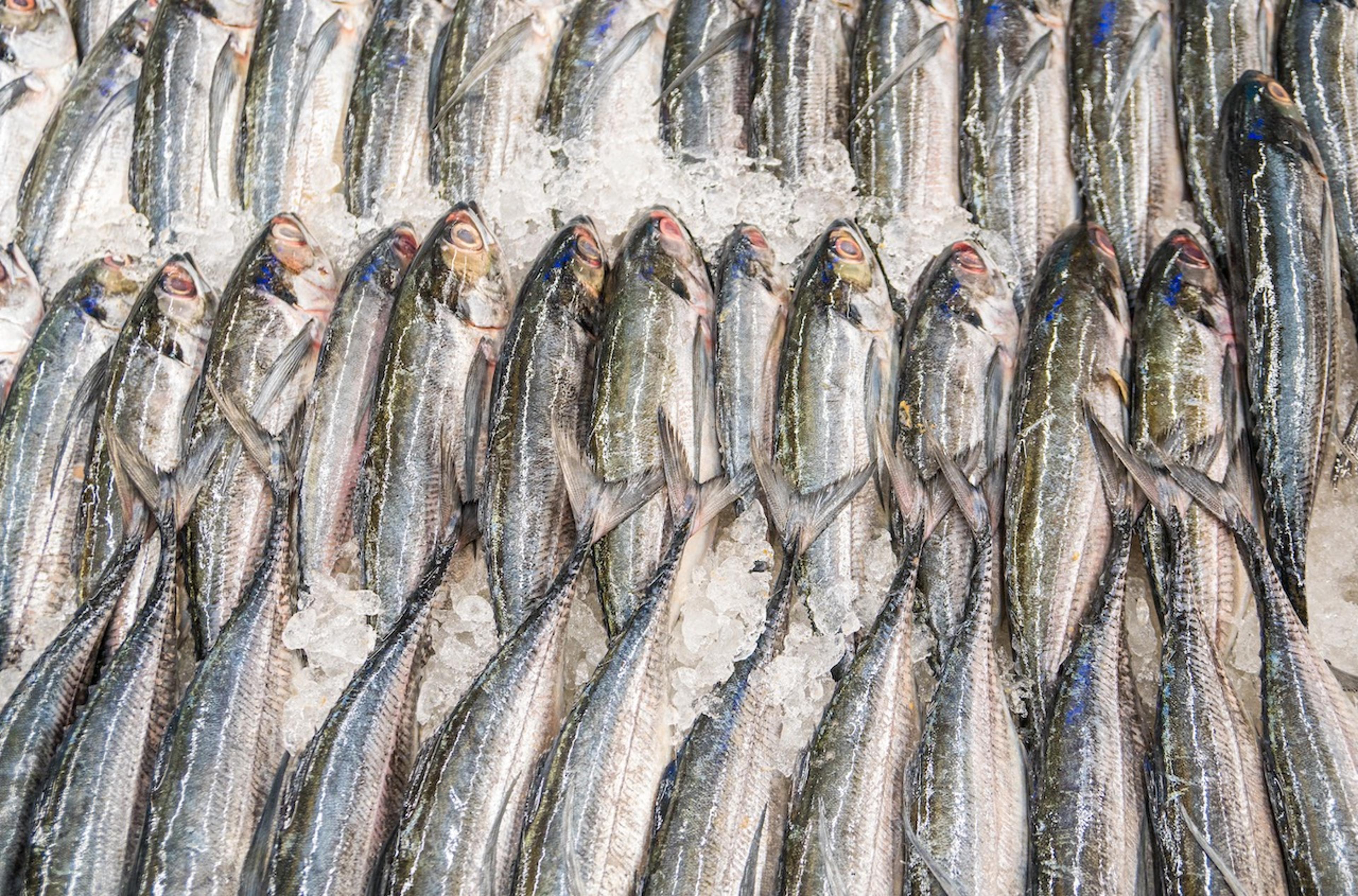 Produits de la mer